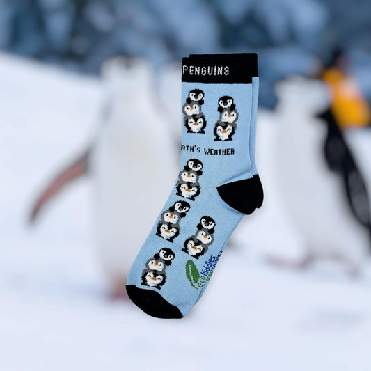 Friendly Penguins Organic Cotton Socks | Eco Kiddies Collection