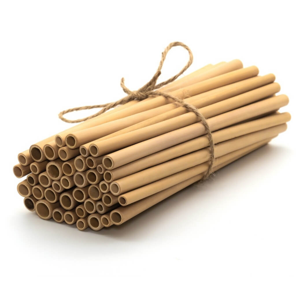 Reusable Bamboo Drinking Straws | Eco-Friendly Bulk Pack